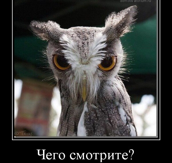 Диета